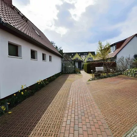 Muschel