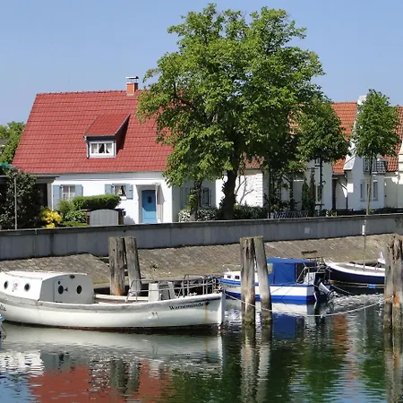 Muschel * Rostock