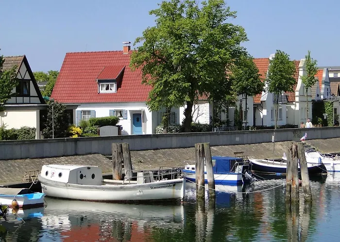 Muschel *